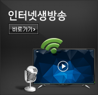인터넷 생방송